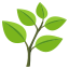 :herb: 🌿